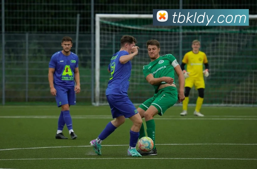 天博体育平台生态图